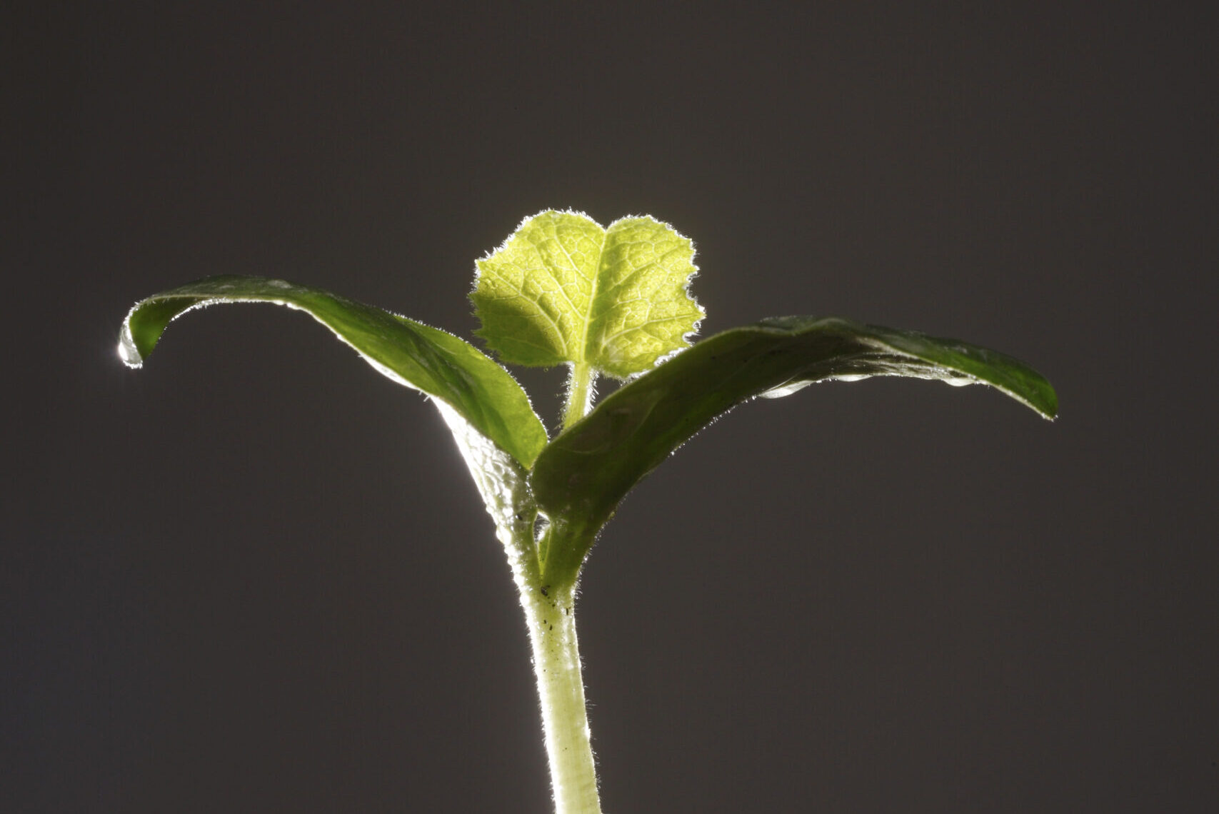 Why Growth Doesn’t Feel Like Growth At First